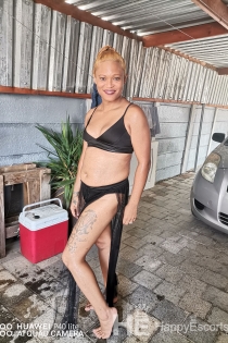 Alexis, 35 anni, Città del Capo / Escort Sud Africa - 3